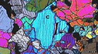 Péridotite. Clinopyroxene en lpa. Cliquer pour agrandir l'image.