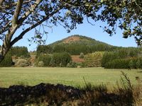 Puy de mongy. Cliquer pour agrandir l'image.