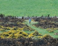 Le Puy des Gouttes en Auvergne. Cliquer pour agrandir l'image.