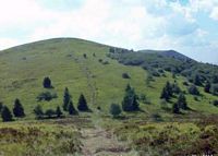 Puy du Grand Suchet. Cliquer pour agrandir l'image.