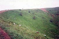 Le Puy Pariou en Auvergne. Cratère vu du rebord. Cliquer pour agrandir l'image.