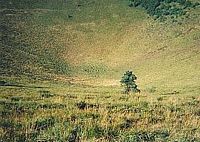 Le Puy Pariou en Auvergne. Fond du cratère. Cliquer pour agrandir l'image.