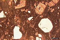 Rhyolite. En lpna. Cliquer pour agrandir l'image.