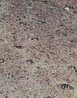 Rhyolite. Cliquer pour agrandir l'image.
