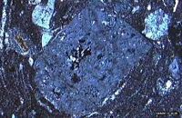 Rhyolite. Feldspath en lpa. Cliquer pour agrandir l'image.