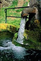 Source de Fontanas. Cliquer pour agrandir l'image.
