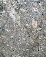 Trachyte. Cliquer pour agrandir l'image.