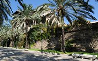Palma western Born - The Annex to the Presidency of the Balearic Islands. Click to enlarge the image in Adobe Stock (new tab).