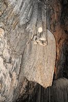 Les Grottes d'Artà à Majorque. La salle des Drapeaux. Cliquer pour agrandir l'image dans Adobe Stock (nouvel onglet).