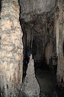 Les Grottes d'Artà à Majorque. Le « Cyprès » de la salle de l'Enfer. Cliquer pour agrandir l'image dans Adobe Stock (nouvel onglet).