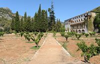 La finca Raixa à Majorque. L'orangeraie. Cliquer pour agrandir l'image dans Adobe Stock (nouvel onglet).