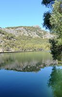 La finca Raixa à Majorque. Le bassin. Cliquer pour agrandir l'image dans Adobe Stock (nouvel onglet).