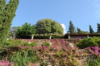 Les grottes de Campanet à Majorque. Terrasse fleurie. Cliquer pour agrandir l'image dans Adobe Stock (nouvel onglet).