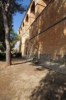 The city of Petra in Mallorca - South facade of the church of Saint-Pierre. Click to enlarge the image in Adobe Stock (new tab).