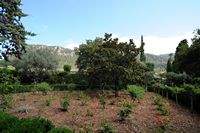 La Chartreuse de Valldemossa à Majorque. Jardins de la chartreuse. Cliquer pour agrandir l'image.