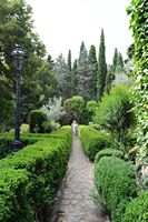 La Chartreuse de Valldemossa à Majorque. Allée de buis. Cliquer pour agrandir l'image.