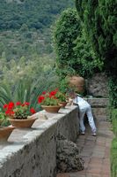 La Chartreuse de Valldemossa à Majorque. Jardin du Prieur de la Chartreuse. Cliquer pour agrandir l'image.
