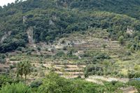 La Chartreuse de Valldemossa à Majorque. Vue depuis la Chartreuse. Cliquer pour agrandir l'image.