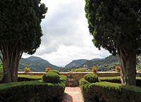 La Chartreuse de Valldemossa à Majorque. Jardin du Prieur de la Chartreuse. Cliquer pour agrandir l'image.