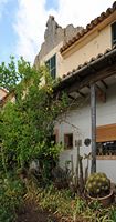 La Chartreuse de Valldemossa à Majorque. Jardin des moines de la cellule n° 2. Cliquer pour agrandir l'image.