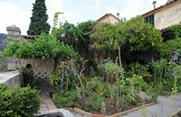 La Chartreuse de Valldemossa à Majorque. Jardin des moines de la cellule n° 2. Cliquer pour agrandir l'image.