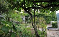La Chartreuse de Valldemossa à Majorque. Jardin des moines de la cellule n° 2. Cliquer pour agrandir l'image.