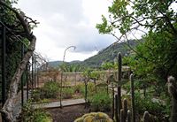 La Chartreuse de Valldemossa à Majorque. Jardin des moines de la cellule n° 2. Cliquer pour agrandir l'image.
