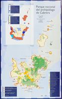 La flore de l'île de Cabrera à Majorque. Plan de la végétation de l'île. Cliquer pour agrandir l'image.