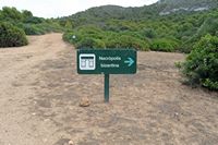 The island of Cabrera in Mallorca - Byzantine necropolis. Click to enlarge the image.