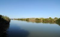 Le Parc naturel de s'Albufera à Majorque. Le grand canal. Cliquer pour agrandir l'image.