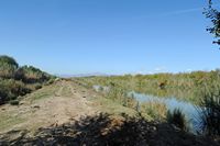 Le Parc naturel de s'Albufera à Majorque. Le canal des Sol. Cliquer pour agrandir l'image.