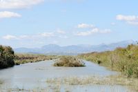 Le Parc naturel de s'Albufera à Majorque. Canal des Sol. Cliquer pour agrandir l'image.