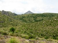 The Natural Park of the East Mallorca - Puig Morei (author Olaf Tausch). Click to enlarge the image.