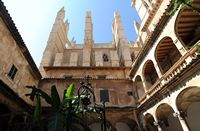 The Cathedral of Palma - Side elevation north. Click to enlarge the image.