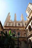 The Cathedral of Palma - Side elevation north. Click to enlarge the image.