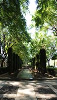 The Almudaina Palace in Palma de Mallorca - King's Garden. Click to enlarge the image.
