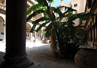 The Treasure of the Cathedral of Palma de Mallorca - Cathedral cloister. Click to enlarge the image.