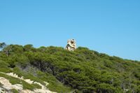 Le village de Cala Rajada à Majorque. La Torre Esbucada. Cliquer pour agrandir l'image.