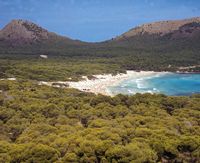 Le village de Cala Rajada à Majorque. La plage de Cala Agulla. Cliquer pour agrandir l'image.