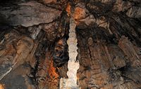 Les Grottes d'Artà à Majorque. La Reine des Colonnes. Cliquer pour agrandir l'image.