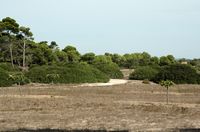 Le village de Colónia de Sant Jordi à Majorque. La finca de s'Avall. Cliquer pour agrandir l'image.