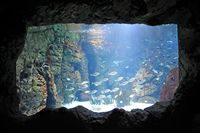 The village of Colonia de Sant Jordi Majorca - The Aquarium Visitor Centre Cabrera. Click to enlarge the image.