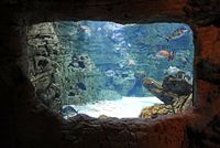 The village of Colonia de Sant Jordi Majorca - The Aquarium Visitor Centre Cabrera. Click to enlarge the image.