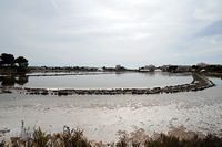 The village of Colonia de Sant Jordi Majorca - Carnations in saline to S'Avall. Click to enlarge the image.