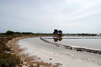 The village of Colonia de Sant Jordi Majorca - Carnations in saline to S'Avall. Click to enlarge the image.
