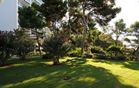 Le village de Costa dels Pins à Majorque. Les jardins de l'hôtel Punta Rotja. Cliquer pour agrandir l'image.