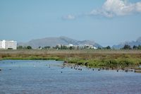 Le village de Platja de Muro à Majorque. L'hôtel Rei del Mediterrani vu depuis s'Albufera. Cliquer pour agrandir l'image.