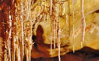 Les grottes du Dragon à Majorque. Grottes du Dragon. Cliquer pour agrandir l'image.