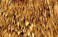 Les grottes du Dragon à Majorque. Grottes du Dragon. Cliquer pour agrandir l'image.