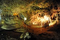 Caves Harpoons (Hams) in Mallorca - Hall March 2. Click to enlarge the image.